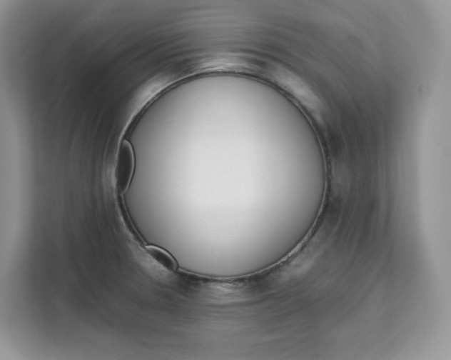 X0000111631330200908071403