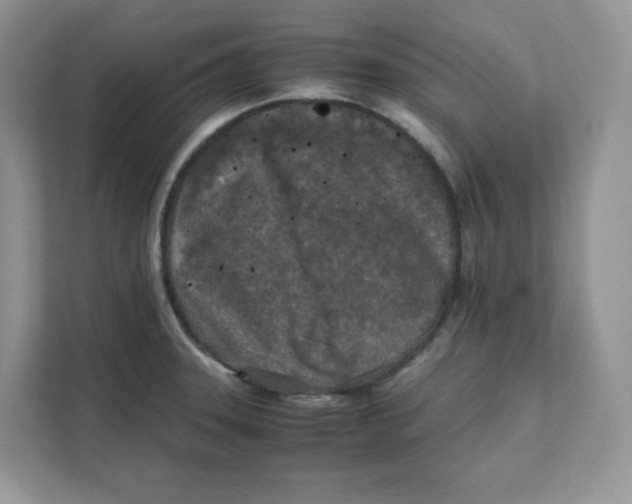 X0000111631331200908071403