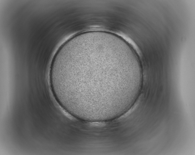 X0000111631333200908071403