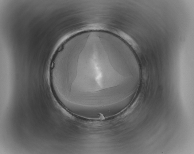 X0000111631334200908071403