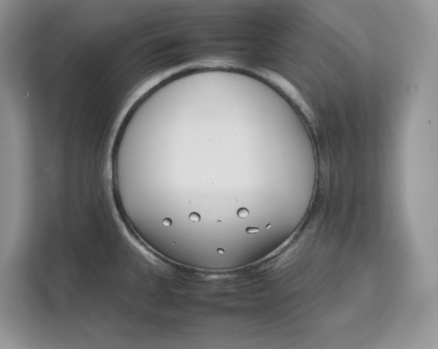 X0000111631335200908071403