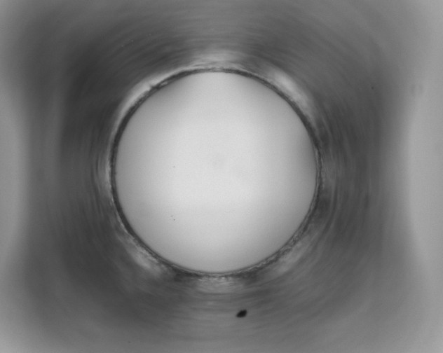 X0000111631336200908071403