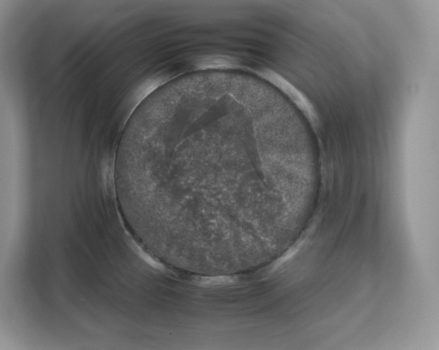 X0000111631337200908071403