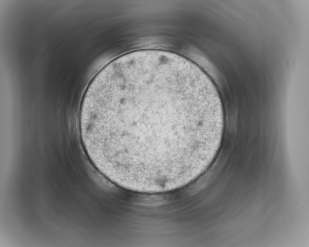 X0000111631338200908071403