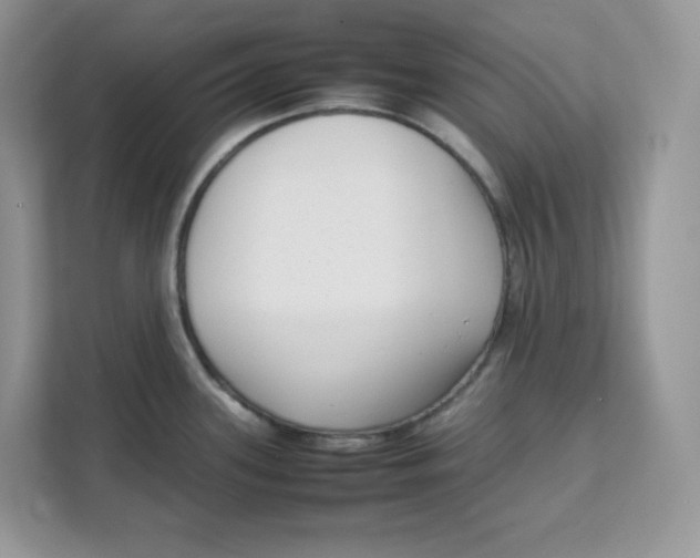 X0000111631339200908071403