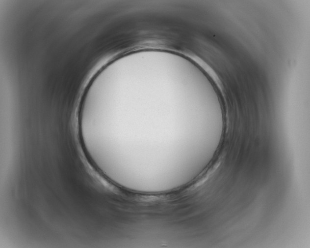 X0000111631341200908071403