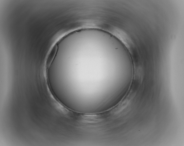 X0000111631342200908071403