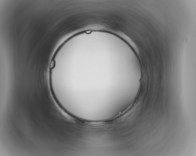 X0000111631343200908071403