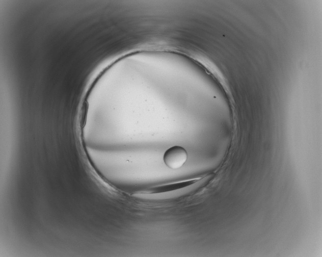 X0000111631344200908071403