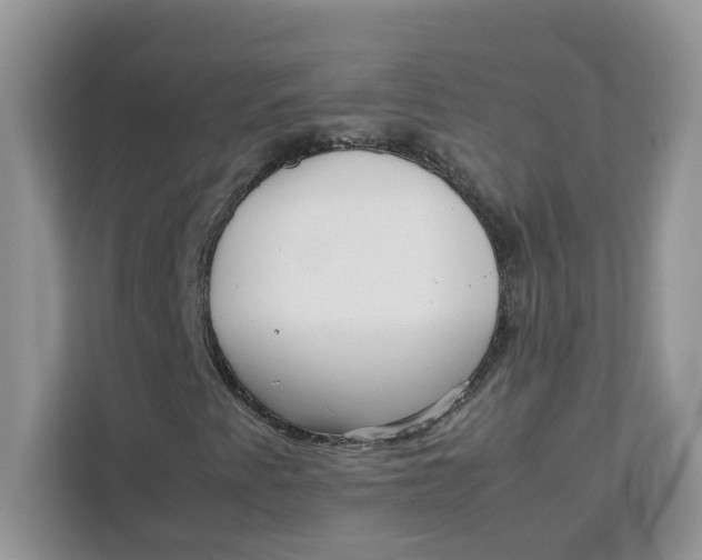 X0000111631345200908071403