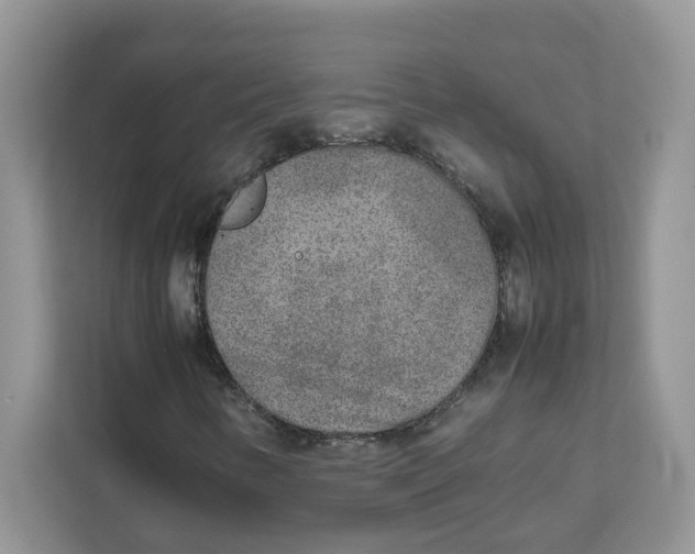 X0000111631346200908071403