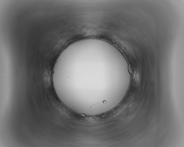 X0000111631348200908071403