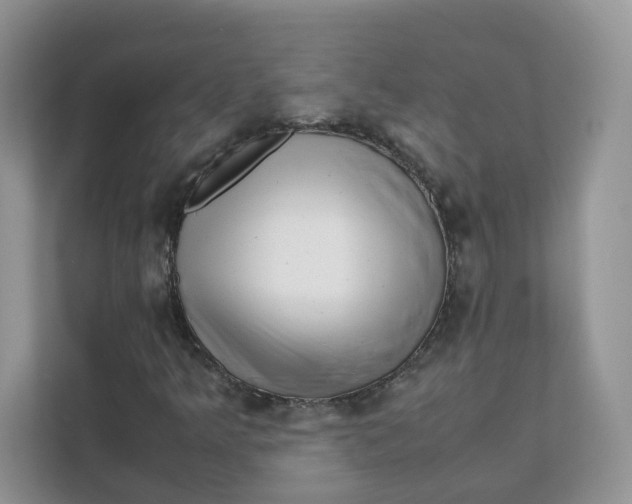 X0000111631349200908071403