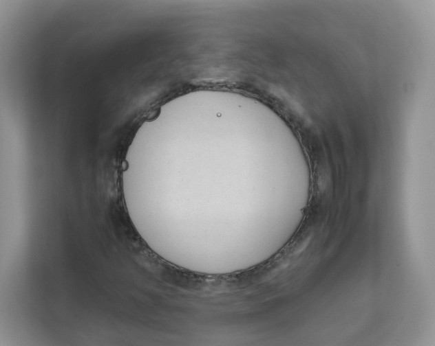 X0000111631350200908071403