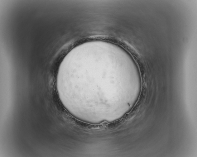 X0000111631351200908071403