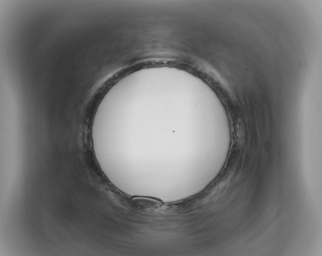 X0000111631352200908071403