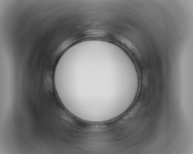 X0000111631354200908071402