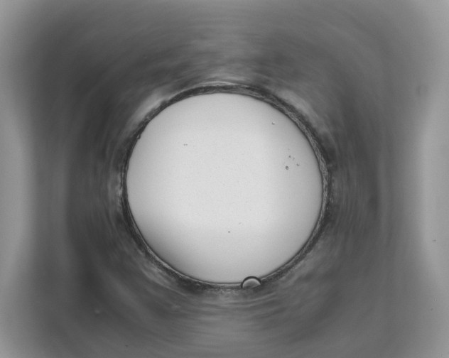 X0000111631355200908071402