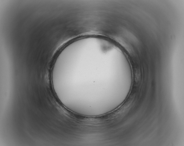 X0000111631356200908071402