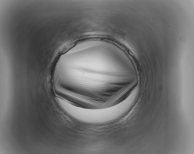 X0000111631357200908071402