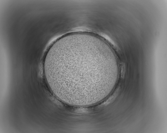 X0000111631358200908071402