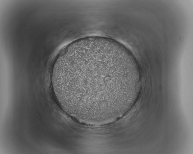 X0000111631359200908071402