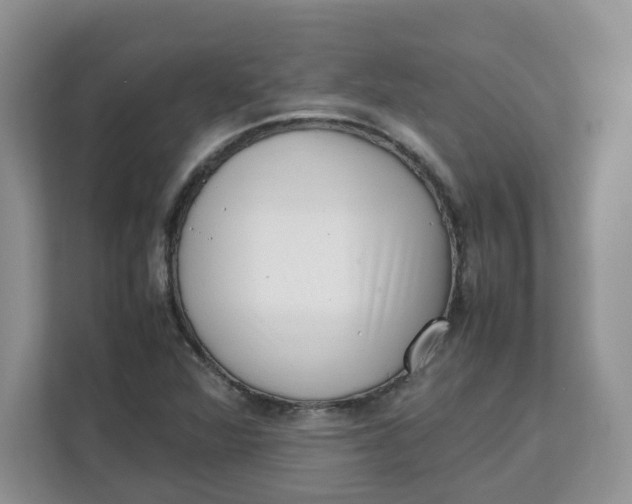 X0000111631360200908071402