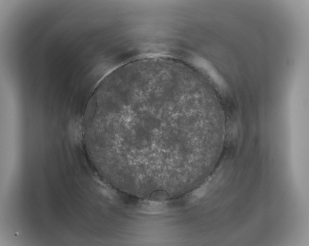 X0000111631361200908071402