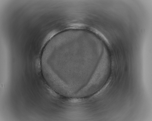 X0000111631362200908071402