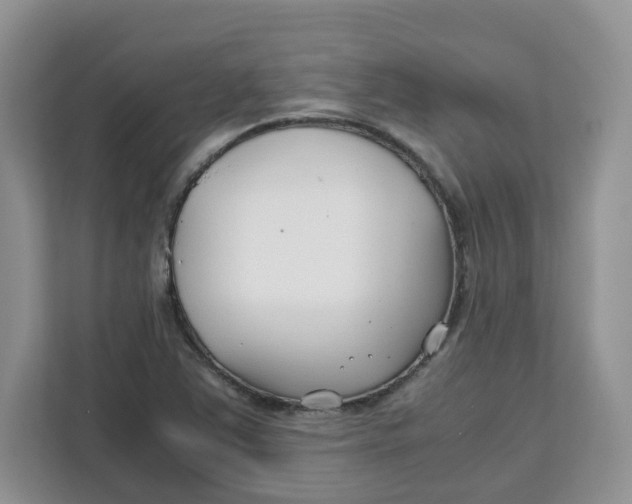 X0000111631363200908071402