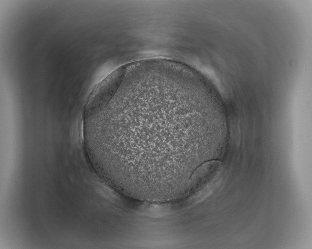 X0000111631365200908071402