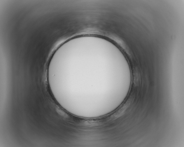 X0000111631366200908071402