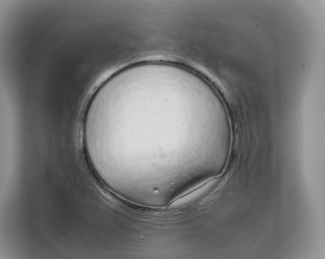 X0000111631367200908071402