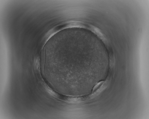 X0000111631369200908071402