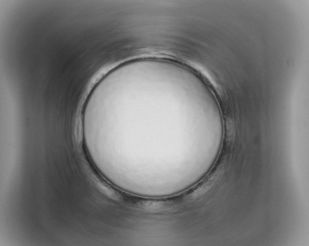 X0000111631371200908071402