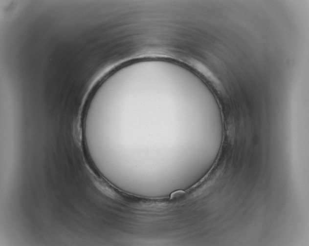 X0000111631372200908071402