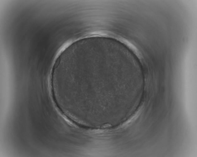 X0000111631373200908071402