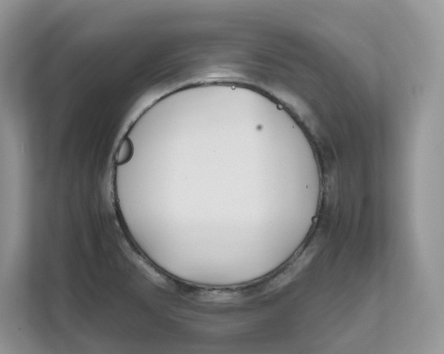 X0000111631374200908071402