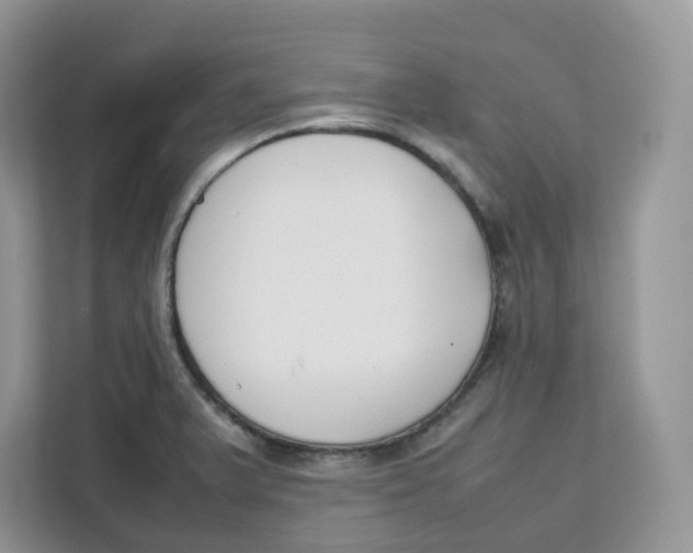 X0000111631375200908071402