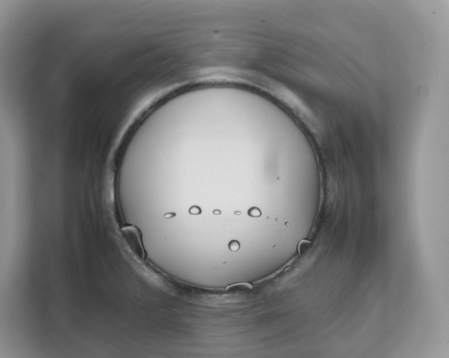 X0000111631376200908071402