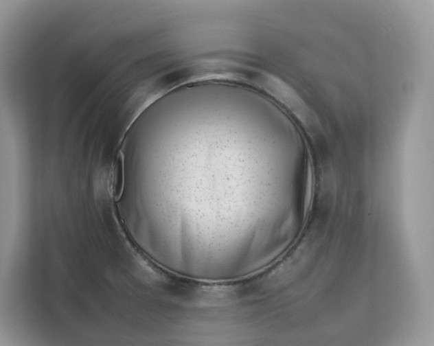 X0000111631377200908071402