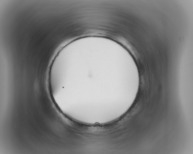 X0000111631379200908071402