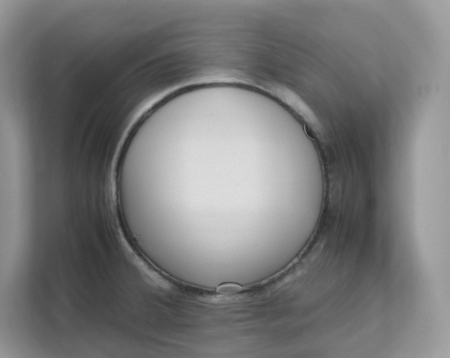 X0000111631380200908071402