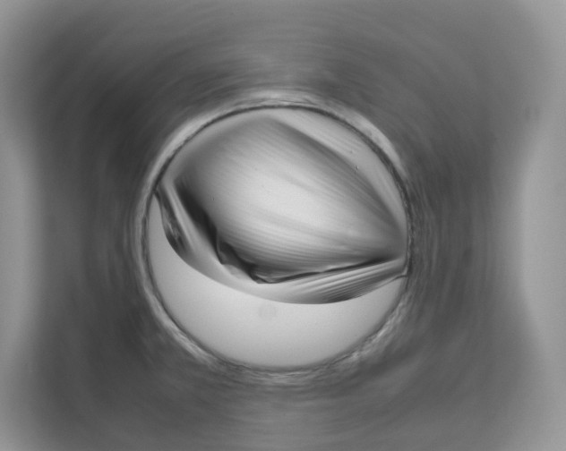 X0000111631381200908071402