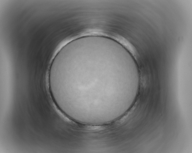 X0000111631382200908071402