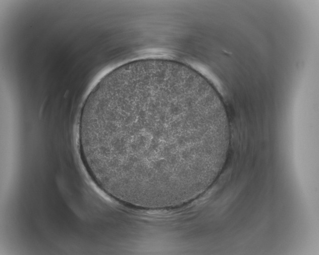 X0000111631383200908071402