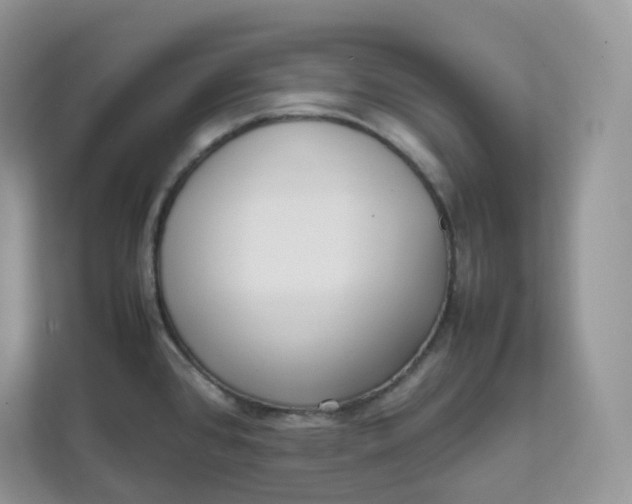 X0000111631384200908071402