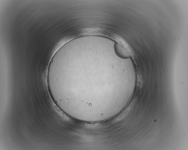 X0000111631386200908071402