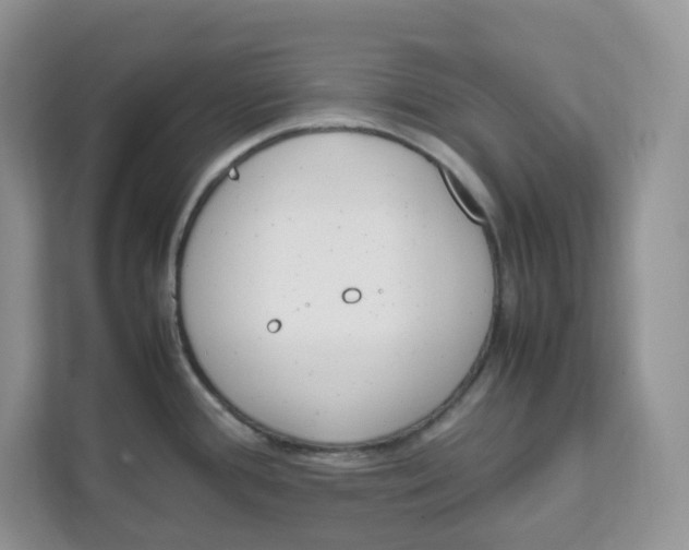 X0000111631388200908071402