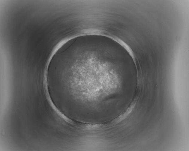 X0000111631389200908071402